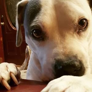 Meet your Posher, Lillian